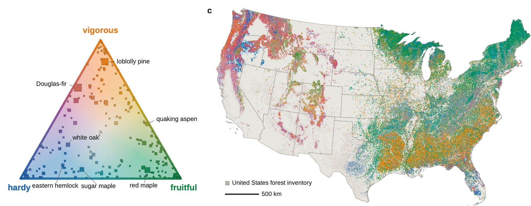 График всех лесных инвентаризаций в США с цветовой кодировкой по стратегии жизненного цикла